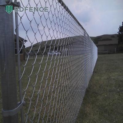 China 4FT 5FT 6FT 2m 8FT Farm Field Galvanized Chain Link Fence Steel Wire Mesh Metal Fencing for sale