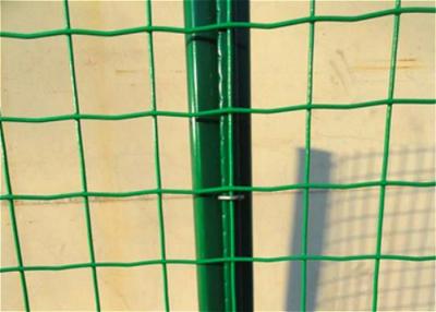 Cina 50*50mm Mesh Welded Wire Fence Panels olandese in vendita