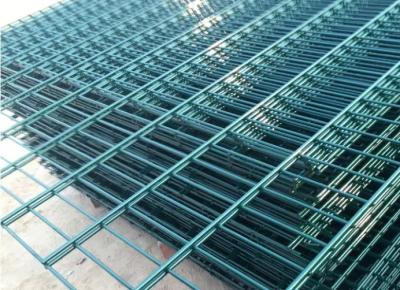 Cina Polvere di L3000mm che ricopre doppio cavo Mesh Fencing in vendita