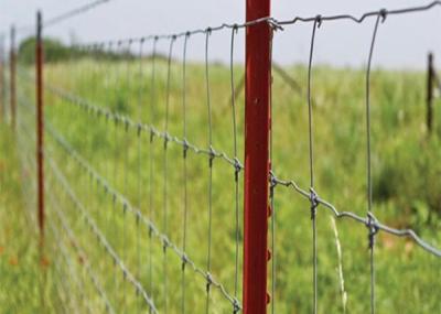 Cina Recinto d'acciaio Panels del bestiame del pascolo ad alta resistenza di forza in vendita