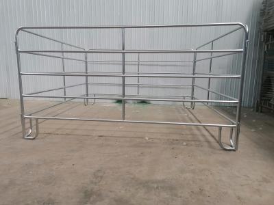 Cina Del bestiame di Iso9001 Cetifiction 5ft recinto di filo metallico la saldatura di Panels Round Pipe galvanizzata in vendita