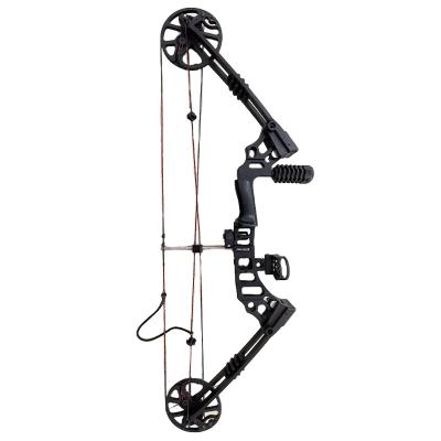 China Hunting Compound Bow Outdoor Hunting Archery Set Kids Compound Bow Set For Sale for sale