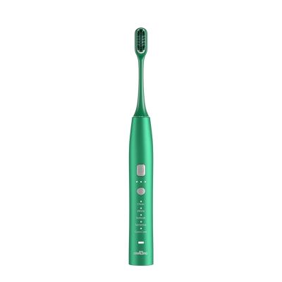 China Electric Toothbrush Ipx7 Deep Clean Smart Green Waterproof Exquisite Adult Waterproof IPX7 Level New for sale