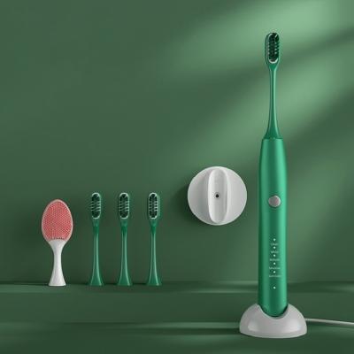 China Twice A Day Wholesale Eco Ipx7 Rechargeable Waterproof Portable Smart Adult Electric Toothbrush for sale