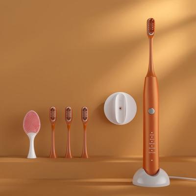 China Twice a Day Wholesale Rechargeable Sonic Electric Toothbrush Aldults Electric Waterproof Toothbrush for sale