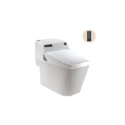 China Automatic Operation Ideal Standard Sanitary Ware Portable Western Smart Toilet With Automatic Toilet Seat for sale