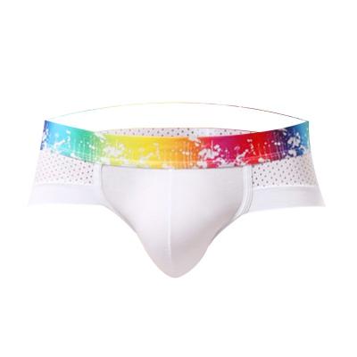 China New Anti-static High Quality Elastic Modal Solid Color Rainbow Pride Band Men Gay Plus Size Briefs Mens Swimwear Gay Bikini Briefs for sale