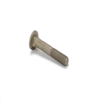 China Factory price of dongsheng 5mm steel metric carriage bolt carriage bolt american kind for sale