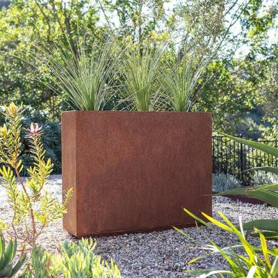 China Plantador rectangular de la flor del canal del diseño moderno del moho de Corten del metal alto del palmo en venta