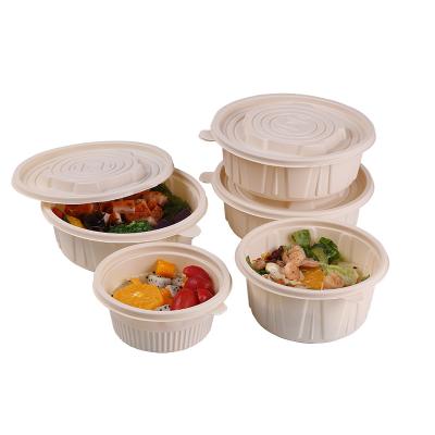 China Food Disposable degradable food container with lid cornstarch lunch box for sale