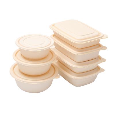 China Food China Biodegradable Food Packaging Disposable 350ml Lunch Box for sale