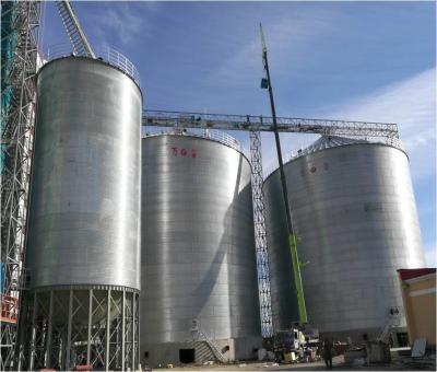 China Anpassungsfähiger Stahlkorn-Silo für verschiedene Lagerkapazitäten und Bedürfnisse zu verkaufen