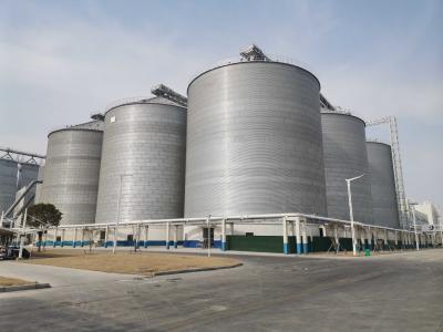 China Verticaal ontwerp staal graan silo voor vochtpreventie en ruimte-efficiëntie roestvrij staal Te koop