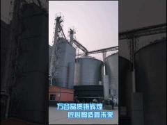 500T/D Maize Drying Equipment Hot Blast Heating Agricultural Dryer Machine