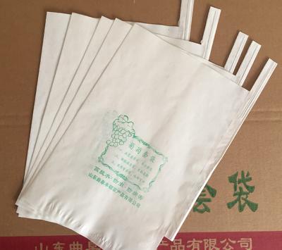 China Recycled Materials Insect Prevent Mango Paper Bag For Fruit Grow Waxed Fruit Cover Bag Protection Bag for sale