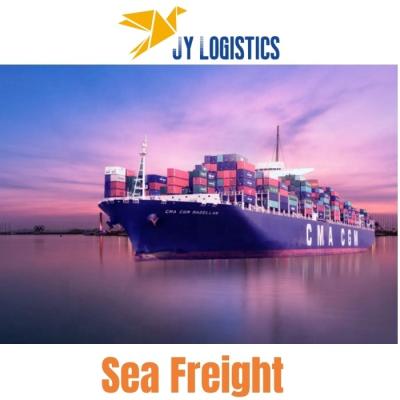 China Cheapest Rates Logistics Agent to Express DDP Sea Forwarder From China To Europe USA Sea Freight Shipping Sea Freight for sale