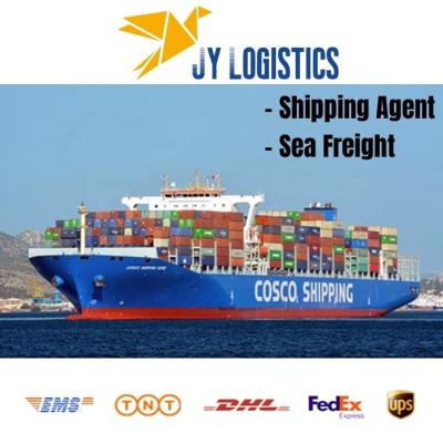 China Door To Door Shipping Agent To USA Canada Europe Saudi Arabia Best Selling Products DDP DDU Sea Freight Sea Freight for sale