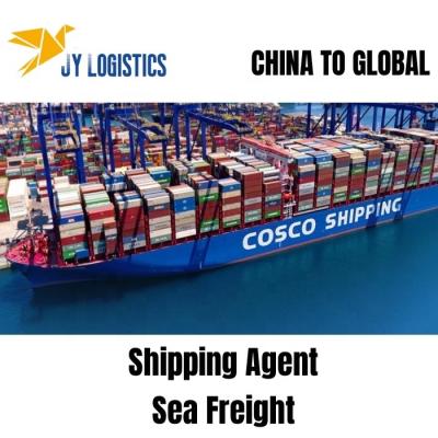 China Professional Experienced Freight Forwarder Sea Shipping From China To USA Sea Freight for sale