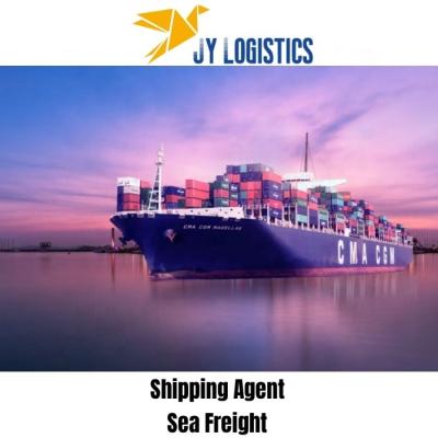 China sea freight cost calculator home and kitchen accessories eco-friendly agent best shipping cost United Arab Emirates saudi arabia Sea Freight for sale