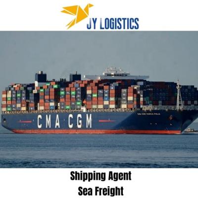 China Jieyun Logistics Cheap 20ft 40ft Lcl Fcl Ocean Shipping Rates Sea Freight Forwarder from China to New Zealand Sea Freight for sale