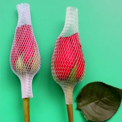 China Mesh Sleeve Netting Rose Durable Durable Plastic Protector for sale