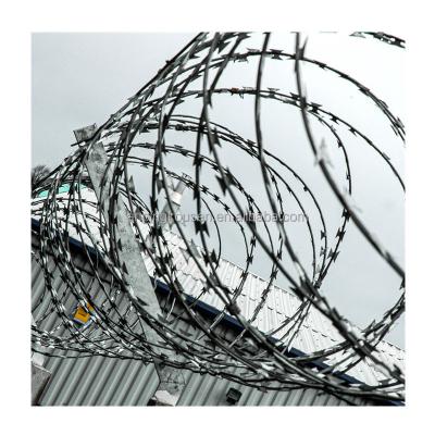 China Single Razor Type Iron Wire Garden Farm Anti-Climbing Stainless Steel Razor Wire for sale