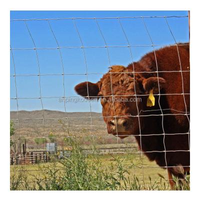 China Galvanizado 5-8 ft fixa Nodo cervo Cerco de gado para a proteção de campo da fazenda Quadrado Design à venda