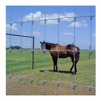 China Cuadro de metal Cerco de granja galvanizado Nudo fijo de alambre de campo bisagra para el ganado caballo oveja en venta