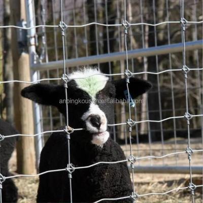 China Cercas de fazenda Cercas de rolha de malha metálica para ovelhas e cabras Altura 0,8-2,4m Proteja seu gado à venda