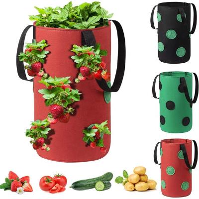 China 13 Holes Corrosion Resistant Nonwoven Planting Growing Bag Coconut Grow Bags Strawberry Wholesale for sale