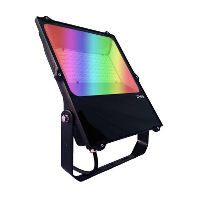 China ROAD 50W 100W LED Flood Light Outdoor Waterproof Spotlight Remote Control RGB IP66 Multi Color Changing Led Landscape Light for sale