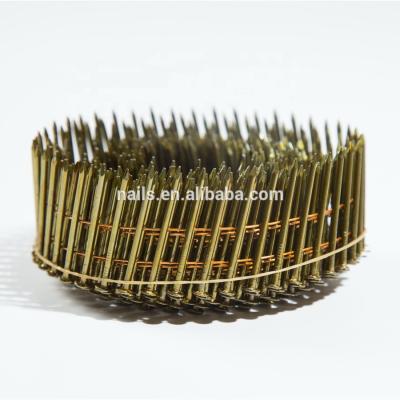 China Flat Ring Shank Wire Coil Nails High Quality Steel Coil Nails for sale