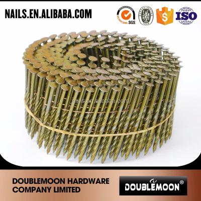 China Flat Wood Pallet Coil Nails For Building Construction Wire Coil Nails for sale