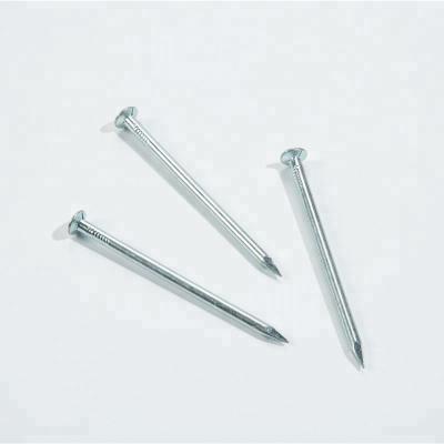 China China Flat Joint Nails, Thread Joint Nails. common iron nails, covering common nails for sale