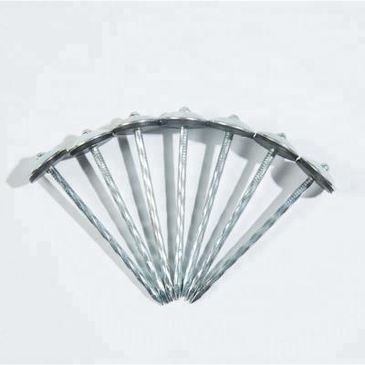 China Cap Roofing Nails With Joint Joint Wire Nails Roofing Nails for sale