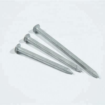 China Flat Hot Dipped Galvanized Boat Nails , Rose Head Square Boat Nails For Boat for sale