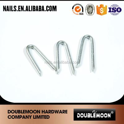 China Double 1 Inch 25mm Galvanized Nails U Type Doublemoon for sale