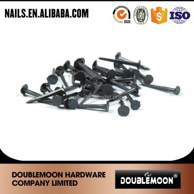 China Blue Iron Flat Head Shoe Nails Manufacture From China for sale