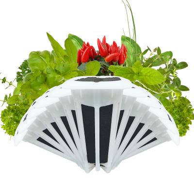 China Hot Sale Modern 65PCS Led Growing System Smart Indoor Herb Hydroponic Garden for sale