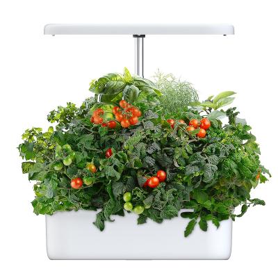 China Modern Customize Modern 12W Grow System Indoor Hydroponic Garden for sale