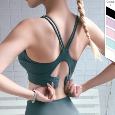 China OEM antibacterial factory custom sexy lady hot sale design beautiful new sports bra women for sale