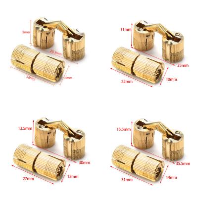 China Modern 8 Barrel Copper Hinges 18mm Concealed Cabinet Concealed Invisible for sale