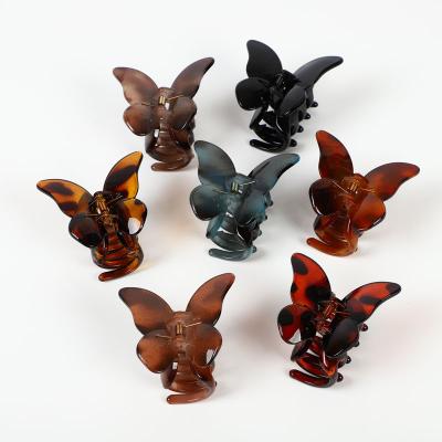 China European and American style Jelly Butterfly Catch Hairpin Shark Korean staple on the back of the main dish for sale