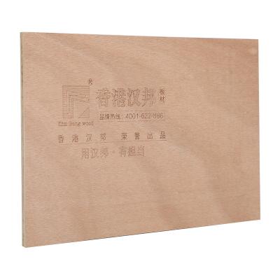 China Class B1 Modern Fireproof Laminate Furniture Board Home Decoration Furniture Board With High Quality for sale