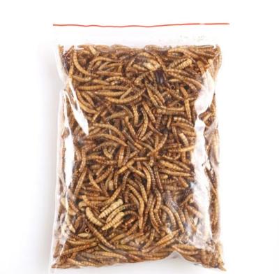 China Wholesale Viable Breeding Base Human Edible Tenebrio Molitor Dry Mealworm for sale