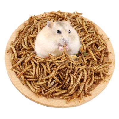 China High Quality Viable Wholesale Edible Dry Mealworm Pet Food Dry Mealworms for sale