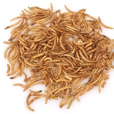 China Hot Sale Viable Live Mealworm Dry Mealworm Freeze Dried Mealworm for sale