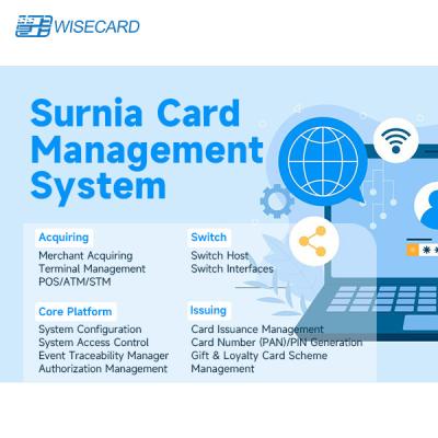 China PCI PA DSS Compliant Card Management System Web Based GUI with Encryption Access Control for sale