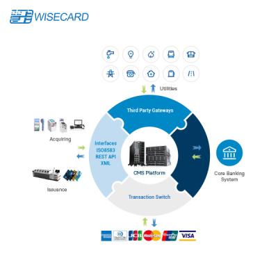 중국 은행 핵심 체계를 가진 CMS PADSS 신용 카드 처리 플랫폼 EMV 판매용