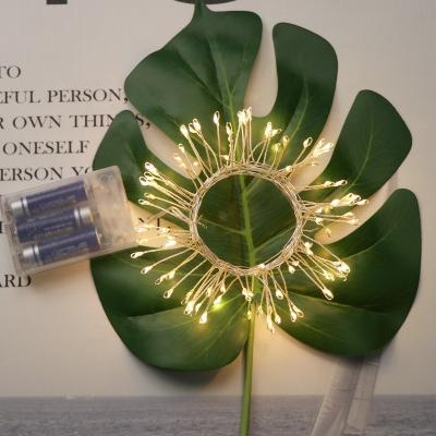 China Customzied 60 100 200 LED Copper Wire Fairy Battery USB Plug In Powered Group Fireworks String Lights For Party Christmas Wedding for sale